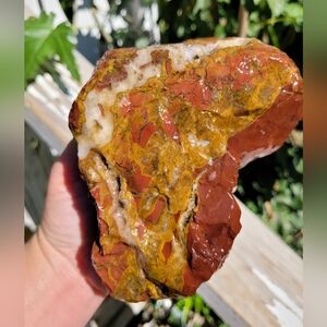 Vibrant and fabulous Lapidary natural rough jasper specimen